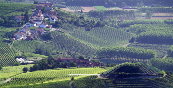 2014 Barolo Offer #1